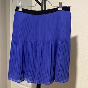 Elegant Blue Pleated Skirt